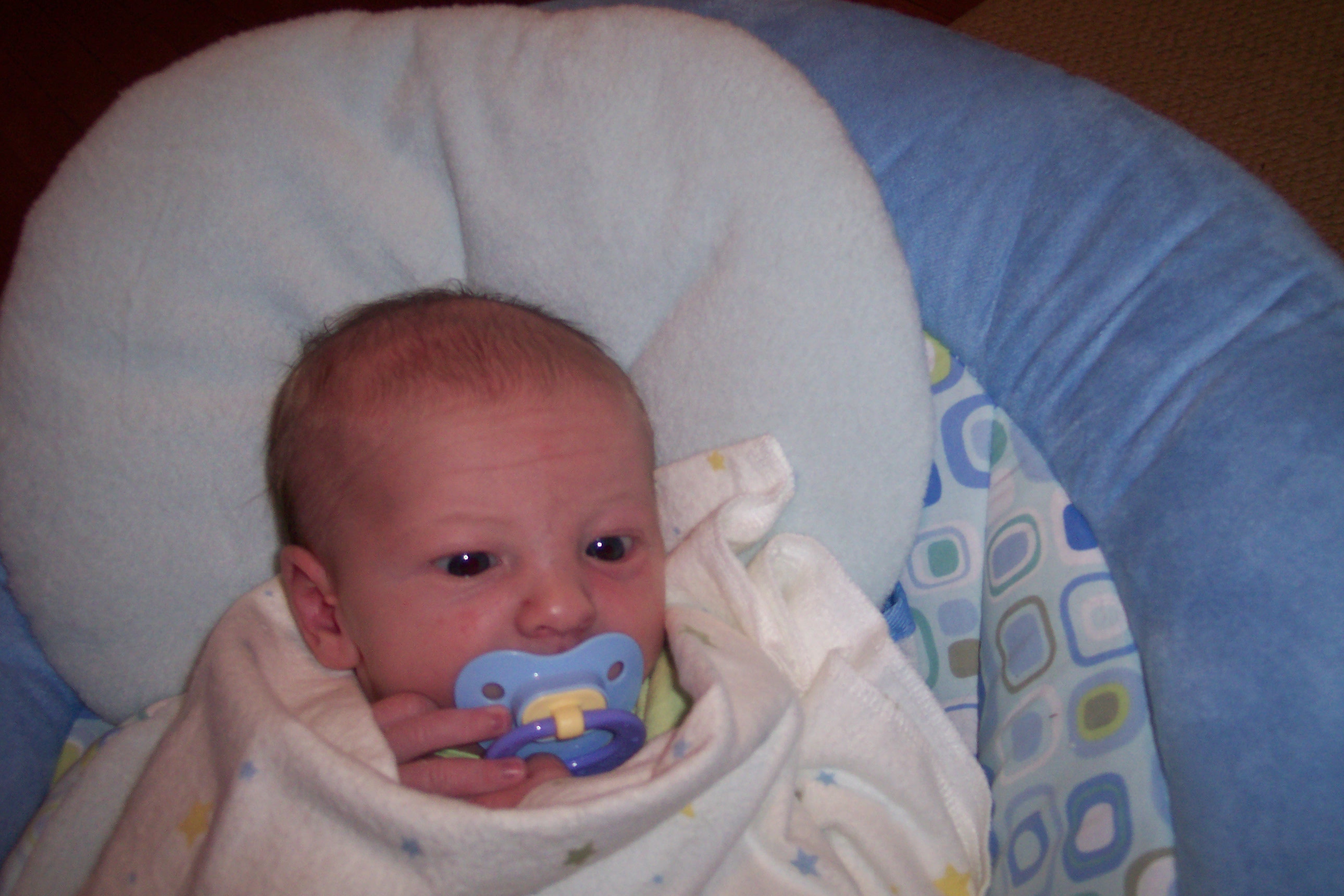 William's Second Week 16.jpg